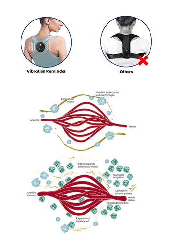 Mericle™ Ultrasonic & Far Infrared Portable Lymphatic Soothing Body Sculpting Neck Device