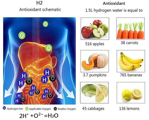 Hydrogen Water Bottle Generator 420ml