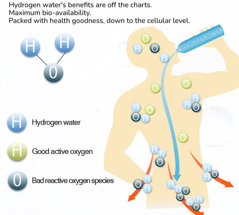 Amazing health benefits Hydrogen Water Bottle Generator
